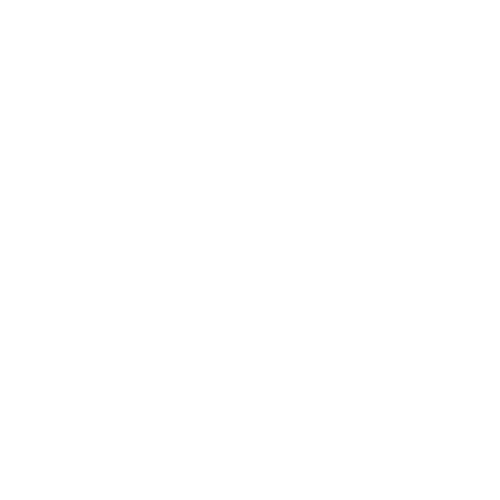 Shabbir Fabrics